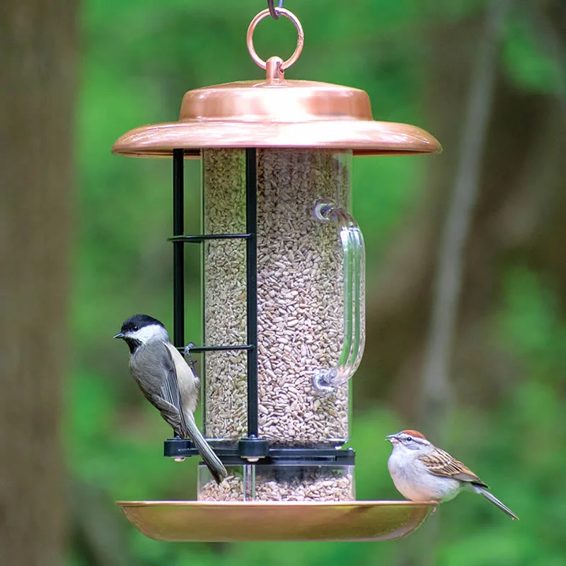 bird swing perch for parrots Metal Combination Hopper & Seed Scoop Feeder