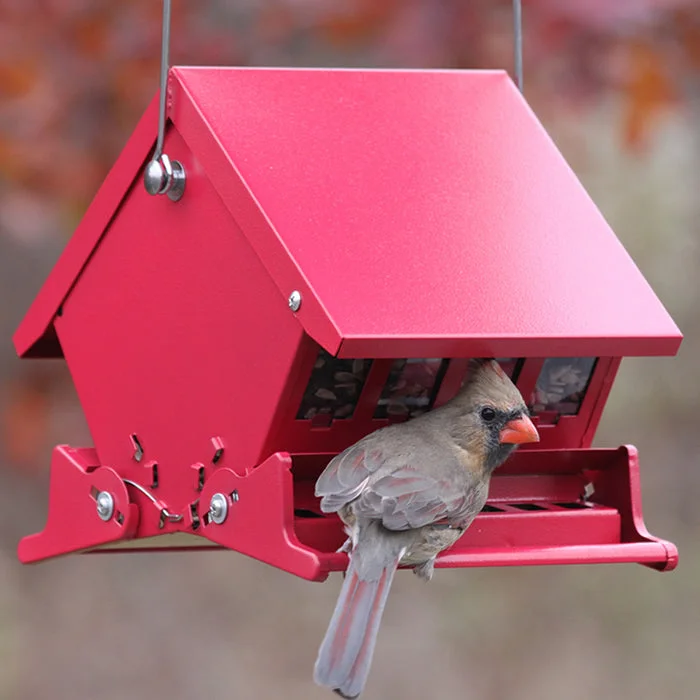 parakeet cage with accessories Mini Squirrel-Resistant Bird Feeder