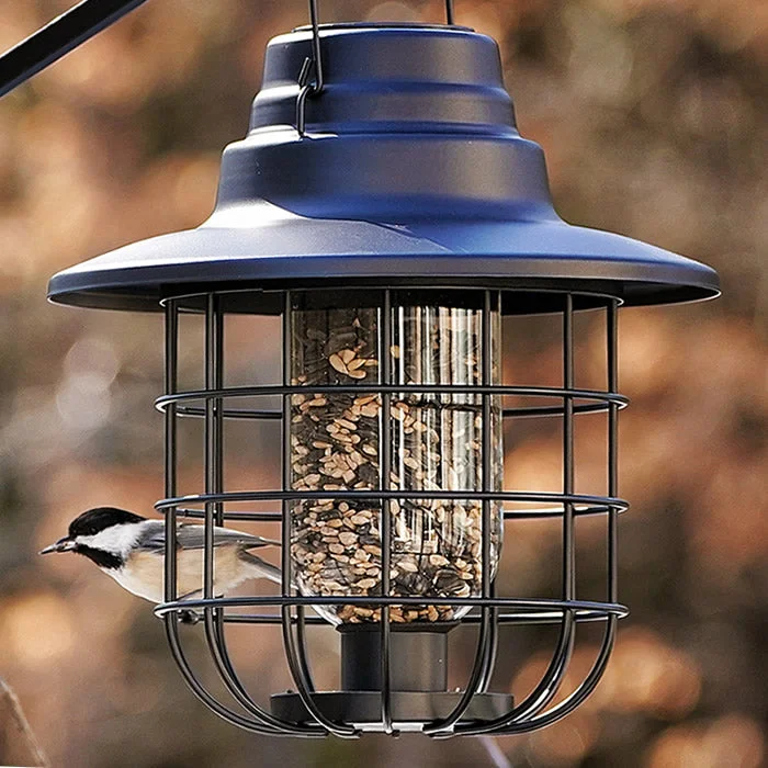 flea and tick collar for dogs Modern Farmhouse Solar Barn Cage Light Seed Feeder