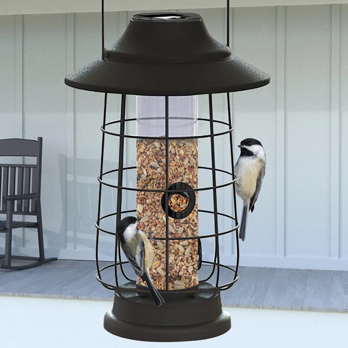 dog bicycle leash attachment Modern Farmhouse Solar Lantern Tube Feeder