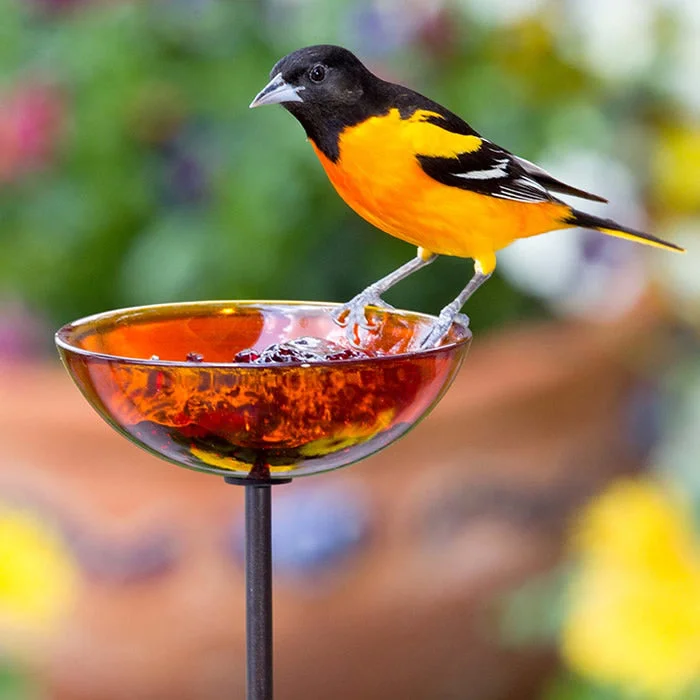 rabbit bedding dust-free Mosaic Birds Poppy Stake Feeder, Orange
