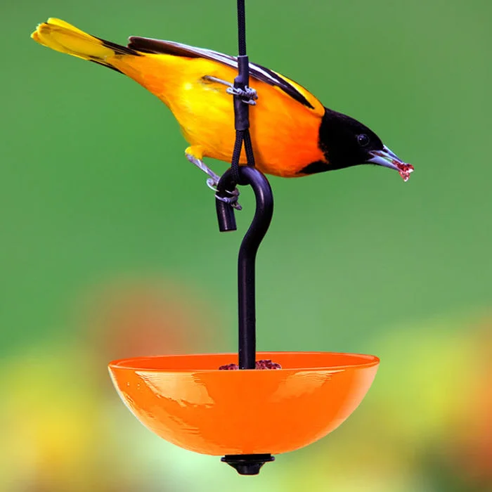 reptile egg incubator digital Mosaic Birds Single Hanging Poppy Feeder, 6 Colors to Choose