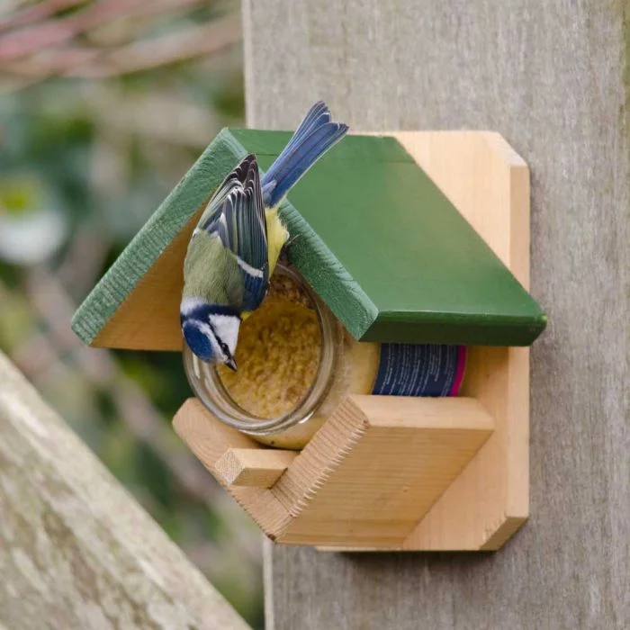 bird nesting box for parakeets CJ Wildlife National Trust Dublin Peanut Butter Feeder bird nesting box for parakeets CJ Wildlife National Trust Dublin Peanut Butter Feeder