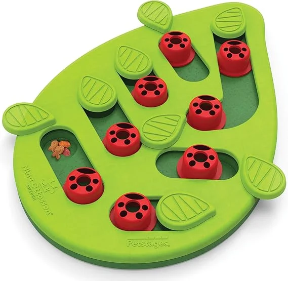 best senior dog food for joint health Nina Ottosson Puzzle and Play for Cats