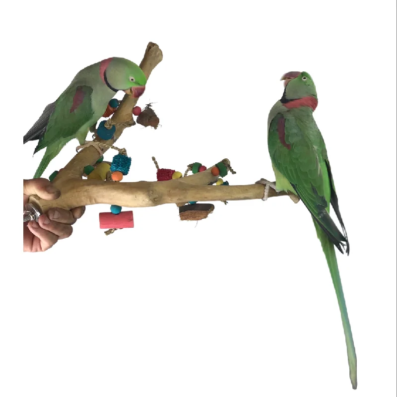 waterproof pet car seat protector Ninos Java Multi Branch Perch with Toys for Birds Medium waterproof pet car seat protector Ninos Java Multi Branch Perch with Toys for Birds Medium