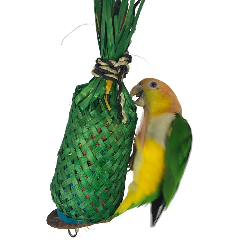soft-sided dog crate foldable Ninos Java Pineapple foraging Toy for Birds Large