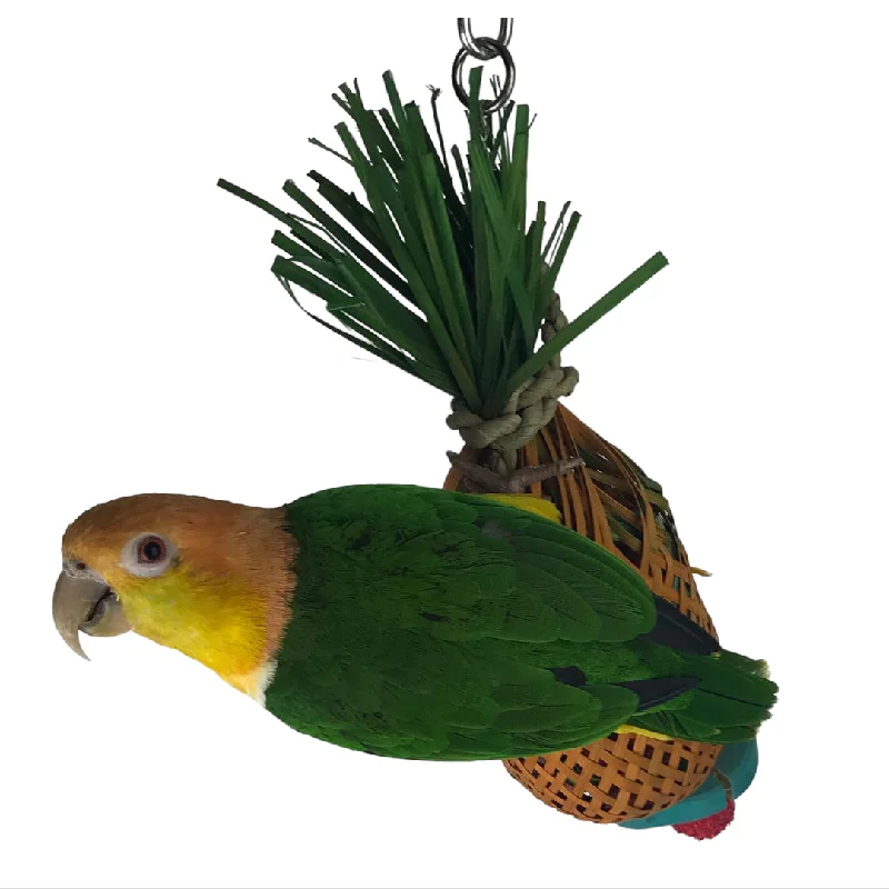 premium parrot foraging toy Ninos Java Pineapple foraging Toy for Birds Small