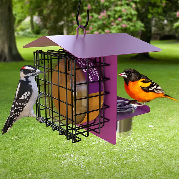 foldable dog crate travel-friendly Novelty Peanut Butter & Jelly Feeder