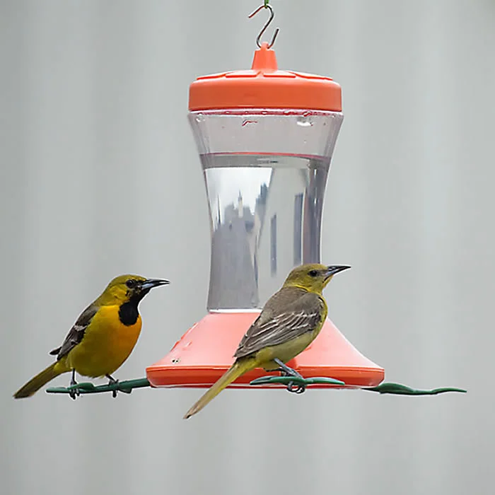 dog seat cover for car waterproof Orange Vine Oriole Feeder