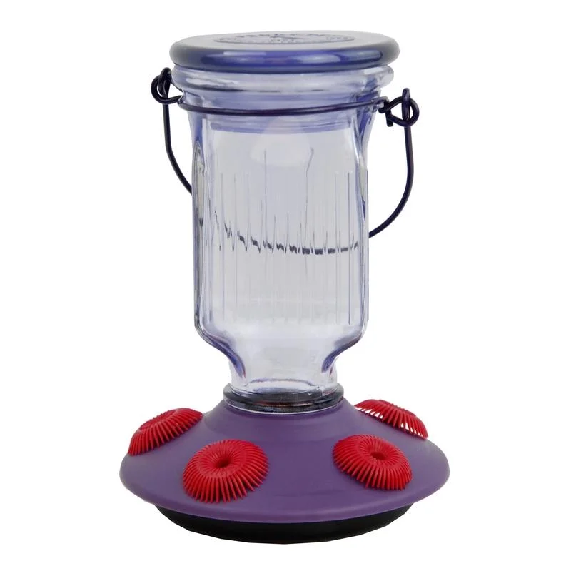 no-slip waterproof dog booties Perky-Pet Hummingbird 16 oz. Glass/Plastic Nectar Feeder 5 ports (Pack of 2) no-slip waterproof dog booties Perky-Pet Hummingbird 16 oz. Glass/Plastic Nectar Feeder 5 ports (Pack of 2)