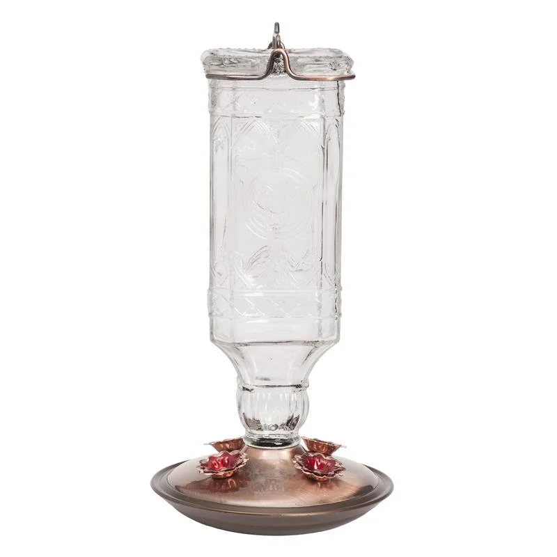 natural wood perch for birds Perky-Pet Hummingbird 24 oz Glass/Metal Nectar Feeder 4 ports natural wood perch for birds Perky-Pet Hummingbird 24 oz Glass/Metal Nectar Feeder 4 ports