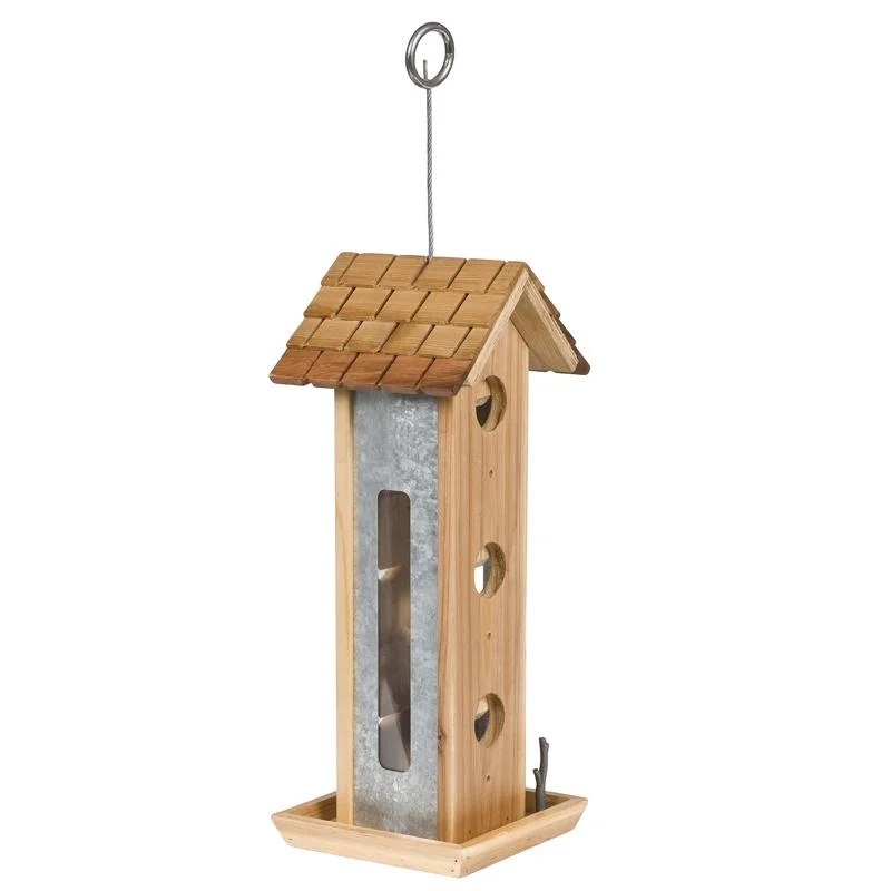pet nail grinder quiet Perky-Pet Tin Jay Wild Bird 2 lb Wood Twig Bird Feeder 6 ports (Pack of 2) pet nail grinder quiet Perky-Pet Tin Jay Wild Bird 2 lb Wood Twig Bird Feeder 6 ports (Pack of 2)