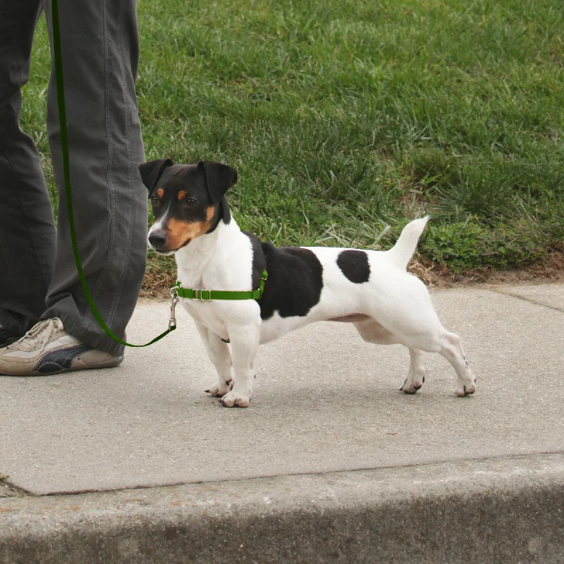 lightweight pet backpack carrier PetSafe Deluxe Easy Walk Steel Dog Harness Black/Apple 1ea/SM