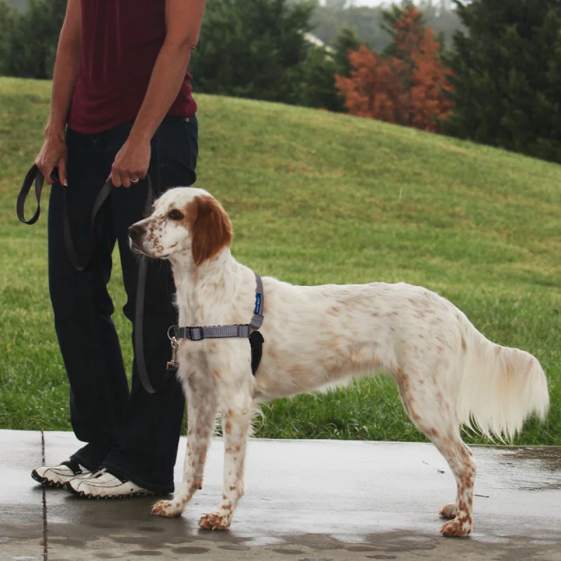 best organic dog treats PetSafe Deluxe Easy Walk Steel Dog Harness Black/Steel 1ea/MD