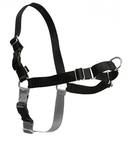 best bird feeder squirrel-proof PetSafe Easy Walk Black & Silver Dog Harness