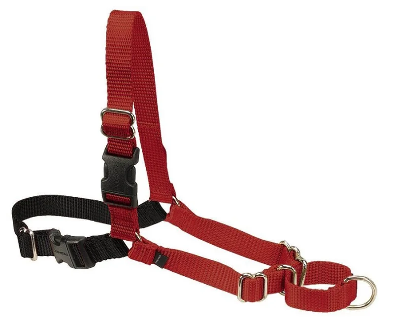 heavy-duty dog tie-out cable PetSafe Easy Walk Dog Harness Black/Red 1ea/LG
