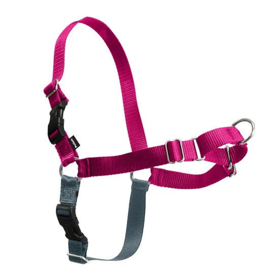 dog swimming pool foldable PetSafe Easy Walk Raspberry & Gray Dog Harness
