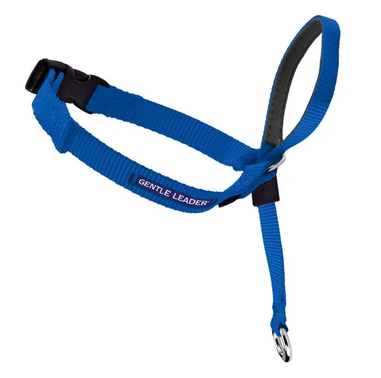 chew proof dog leash heavy-duty Petsafe Gentle Leader Quick Release Royal Blue Headcollar for Dogs chew proof dog leash heavy-duty Petsafe Gentle Leader Quick Release Royal Blue Headcollar for Dogs
