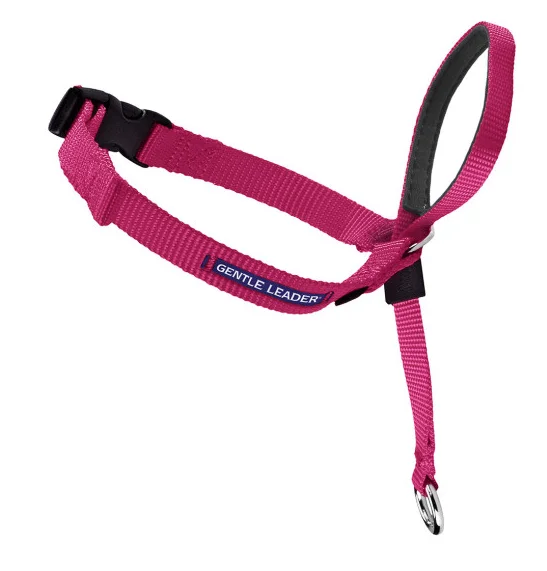 best parrot food high nutrition Petsafe Gentle Leader Quick Release Raspberry Headcollar for Dogs