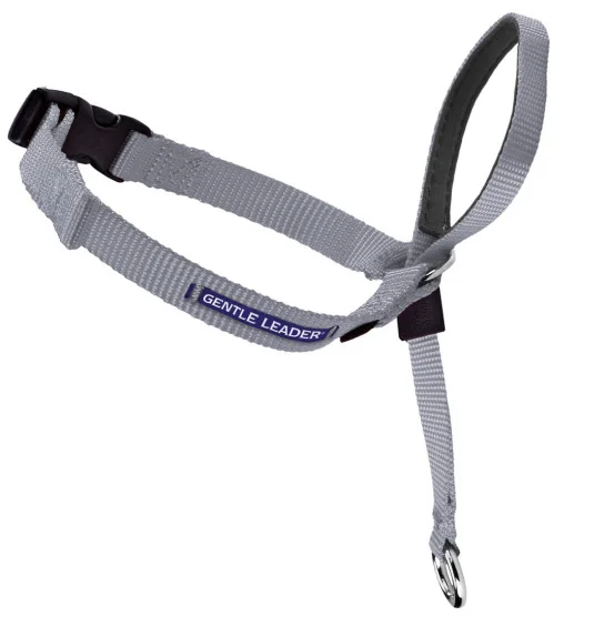 automatic dog feeder programmable Petsafe Gentle Leader Quick Release Silver Headcollar for Dogs