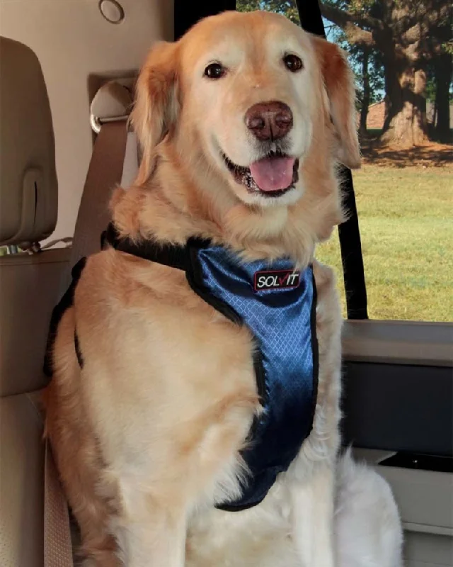 best chew toys for aggressive chewers PetSafe Happy Ride Safety Dog Harness Black/Blue 1ea/XL