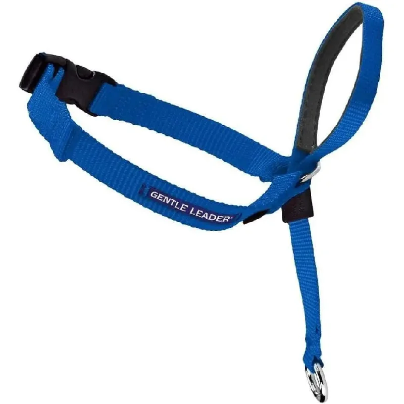 best bird toys for parrots PetSafe Headcollar No-Pull Dog Collar