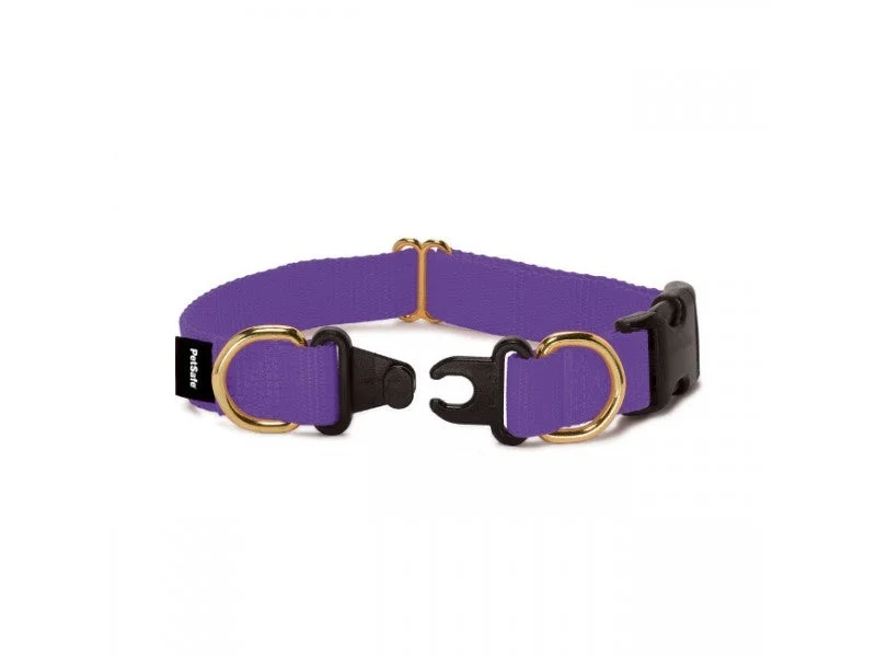 rabbit toys chew safe PetSafe Keep Safe Break Away Deep Purple Dog Collar