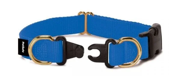 pet safe flea spray PetSafe Keep Safe Break Away Royal Blue Dog Collar