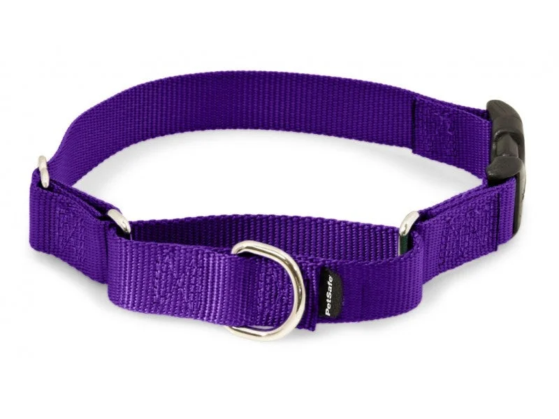 dog stairs for high bed PetSafe Premier Martingale Deep Purple Quick Snap Pet Collar dog stairs for high bed PetSafe Premier Martingale Deep Purple Quick Snap Pet Collar