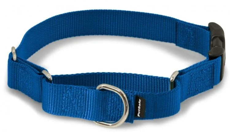 automatic litter box for multiple cats PetSafe Premier Martingale Royal Blue Quick Snap Pet Collar automatic litter box for multiple cats PetSafe Premier Martingale Royal Blue Quick Snap Pet Collar