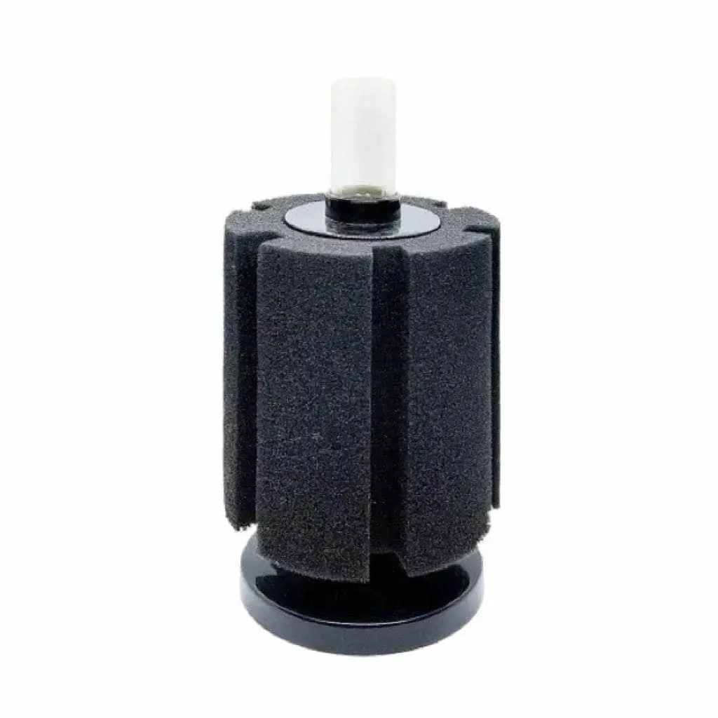 chew-resistant parrot toys durable Pisces E-Jet Air Sponge Filter 103 ( Up to 150ltr ) chew-resistant parrot toys durable Pisces E-Jet Air Sponge Filter 103 ( Up to 150ltr )