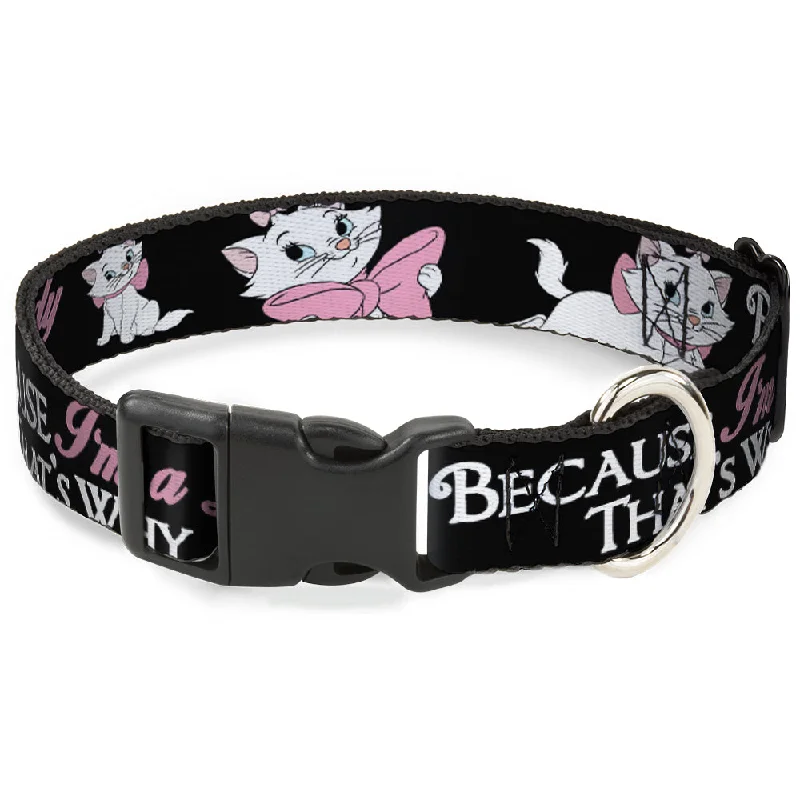 best dog shampoo for sensitive skin Plastic Clip Collar - Aristocats Marie 3-Poses BECAUSE I'M A LADY THAT'S WHY Black/White/Pink best dog shampoo for sensitive skin Plastic Clip Collar - Aristocats Marie 3-Poses BECAUSE I'M A LADY THAT'S WHY Black/White/Pink