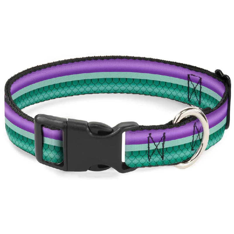 senior dog supplements joint health Plastic Clip Collar - Little Mermaid Stripe/Shell Purple/Green/Gold senior dog supplements joint health Plastic Clip Collar - Little Mermaid Stripe/Shell Purple/Green/Gold