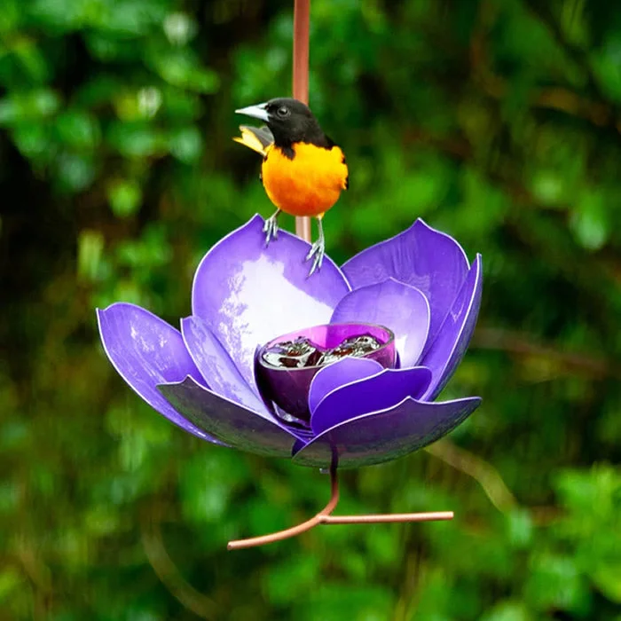 high-fiber cat treats for digestion Purple Prince Magnolia Bird Feeder