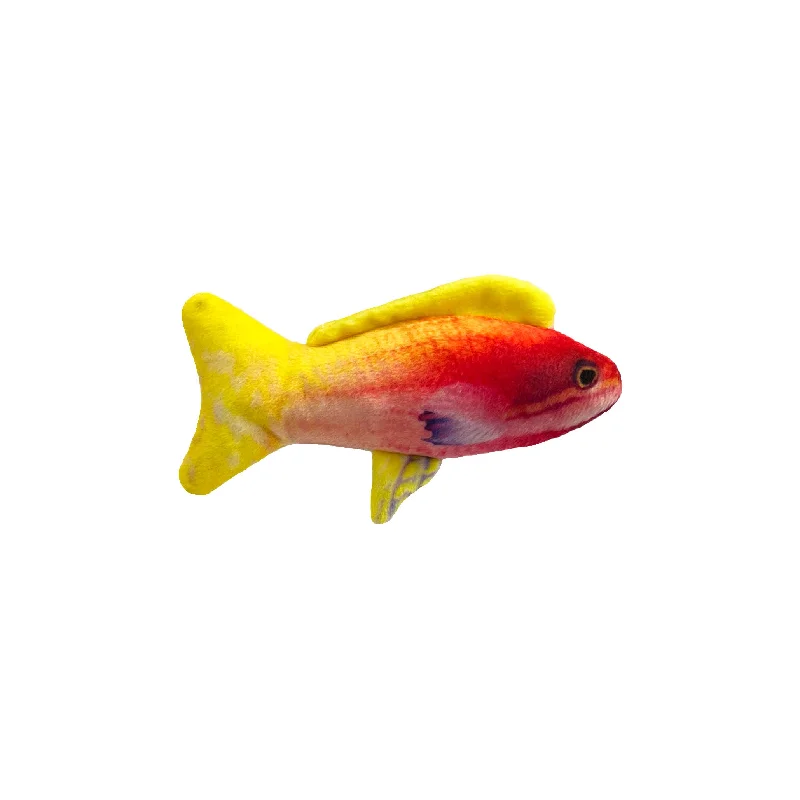best turtle tank setup Rainbow Guppy Cat Toy
