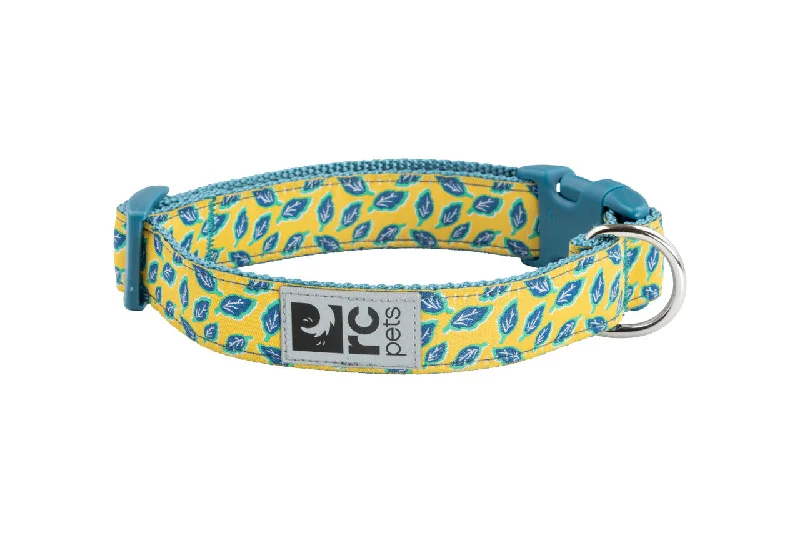 cat tunnel interactive play RC Pets Clip Collars Marigold Leaves