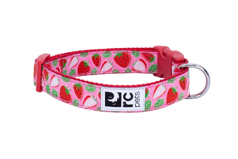 best turtle tank setup RC Pets Clip Collars Strawberries