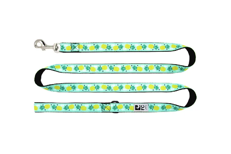 best fish food for guppies RC Pet Leash Pineapple Parade