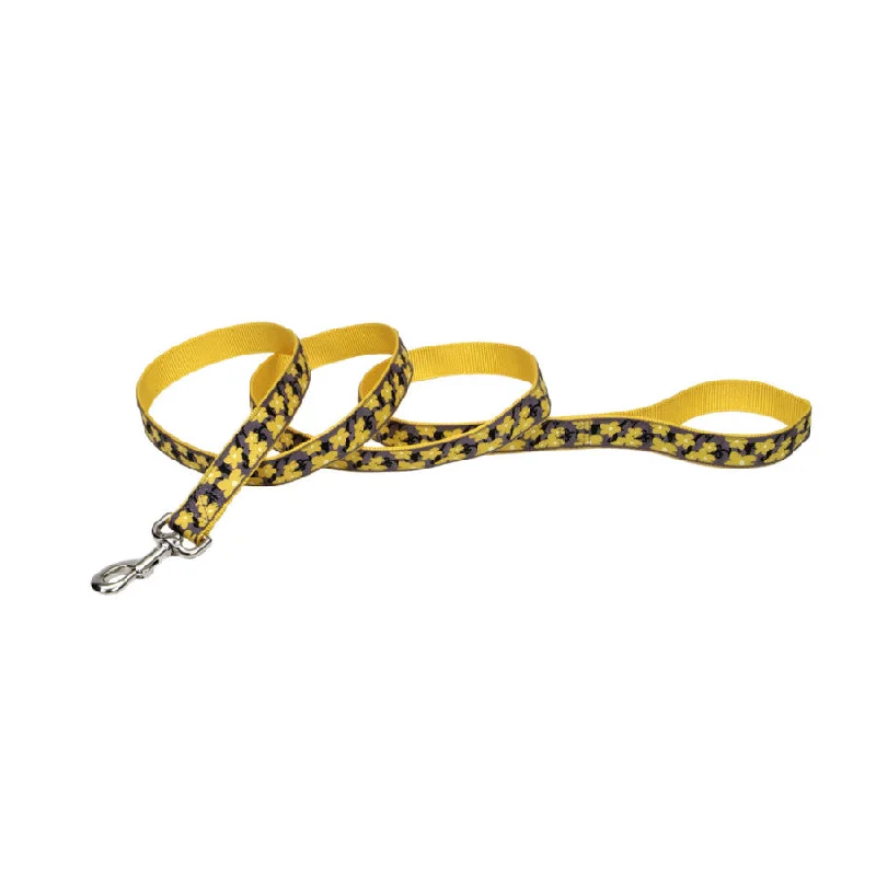 eco-friendly wooden hamster house Ribbon Nylon Dog Leash Yellow 1ea/1 In X 6 ft