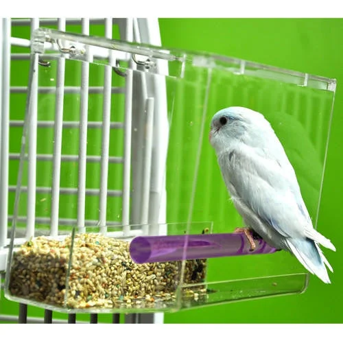 snake tank humidity control Small Tweeky Clean Tidy Bird Feeder On Sale!