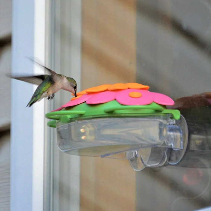 pet stroller for large dogs So Real Window Flower Hummingbird Feeder, Honeysuckle