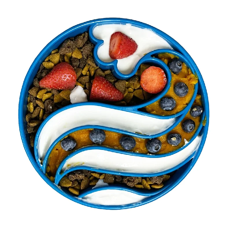 best senior dog food for joint health SodaPup Waves eBowl Slow Feeder