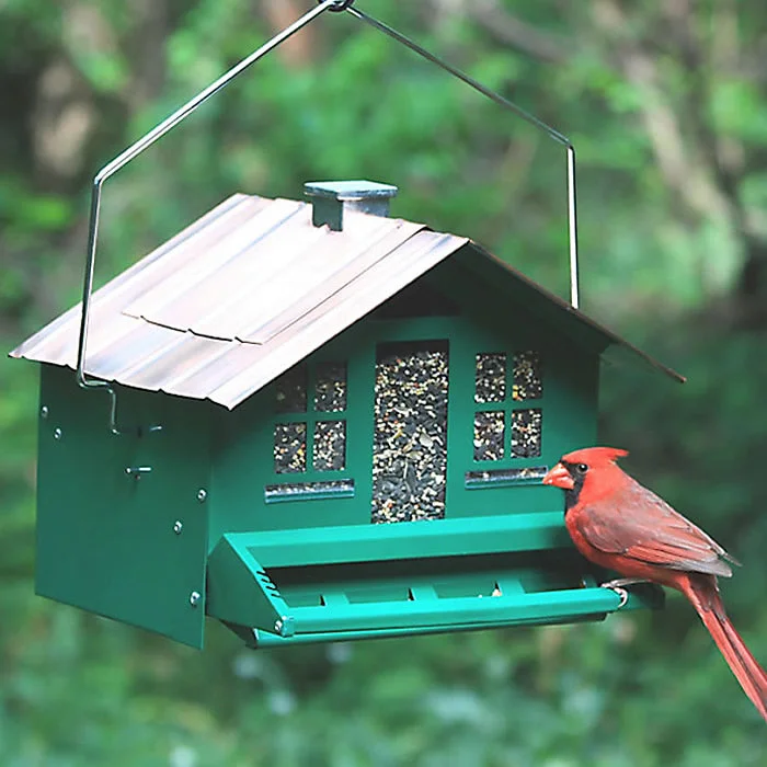 best parrot cage with play top Squirrel Be Gone Home Style