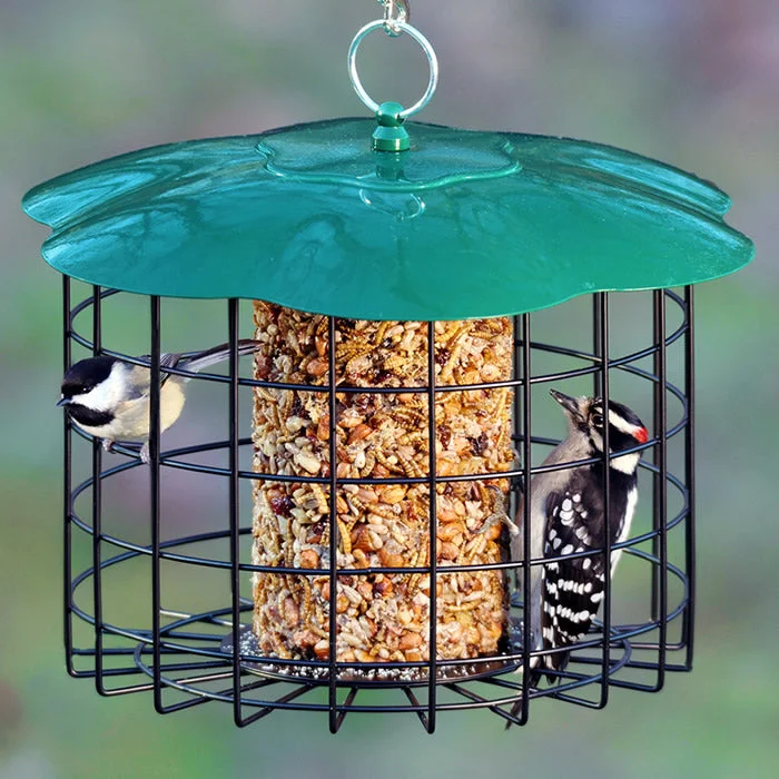 puppy playpen indoor foldable Squirrel Defeater Seed Log Feeder