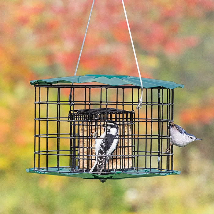 pet grooming clippers professional Squirrel Proof Baffled Suet Feeder