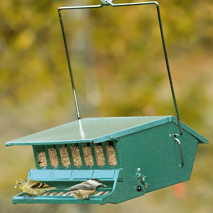 heavy-duty bird cage escape-proof Squirrel Resistant Birder's Choice