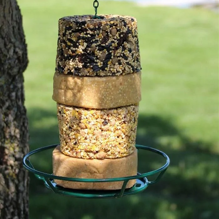 best fish food for guppies Stak'em Feeder