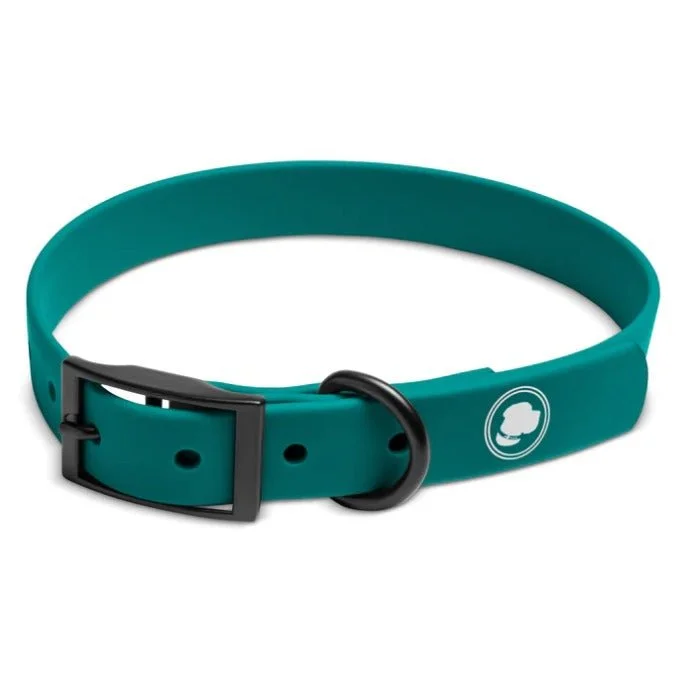 heavy-duty bird cage escape-proof The Modern Dog Company Collar Forest Green