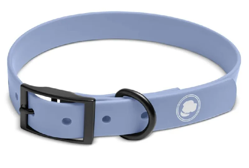 dog agility training set backyard The Modern Dog Company Collar Purple