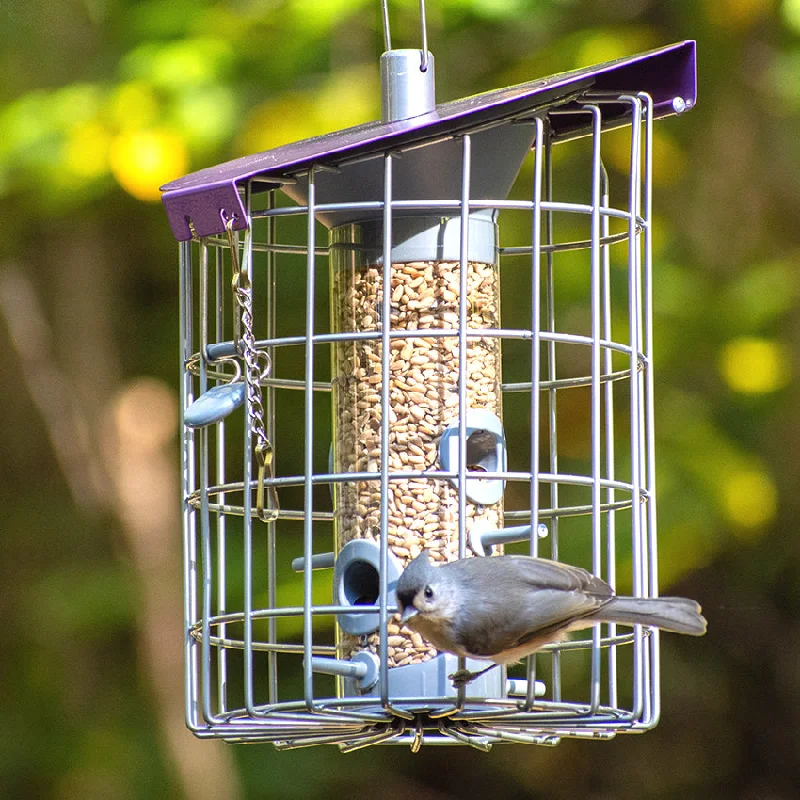 self-cleaning fish tank small The Nuttery Roundhaus Seed Feeder, Aubergine